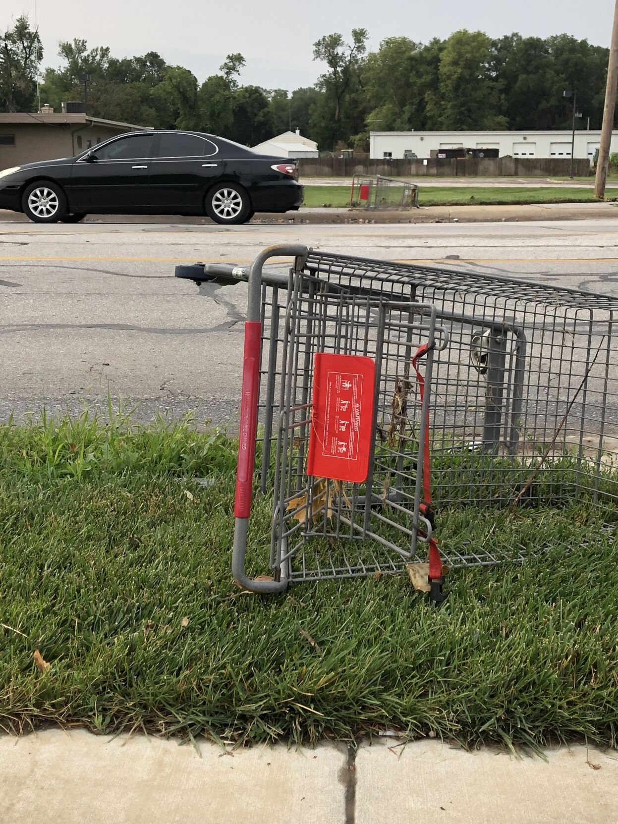 shopping cart-hyvee.jpg